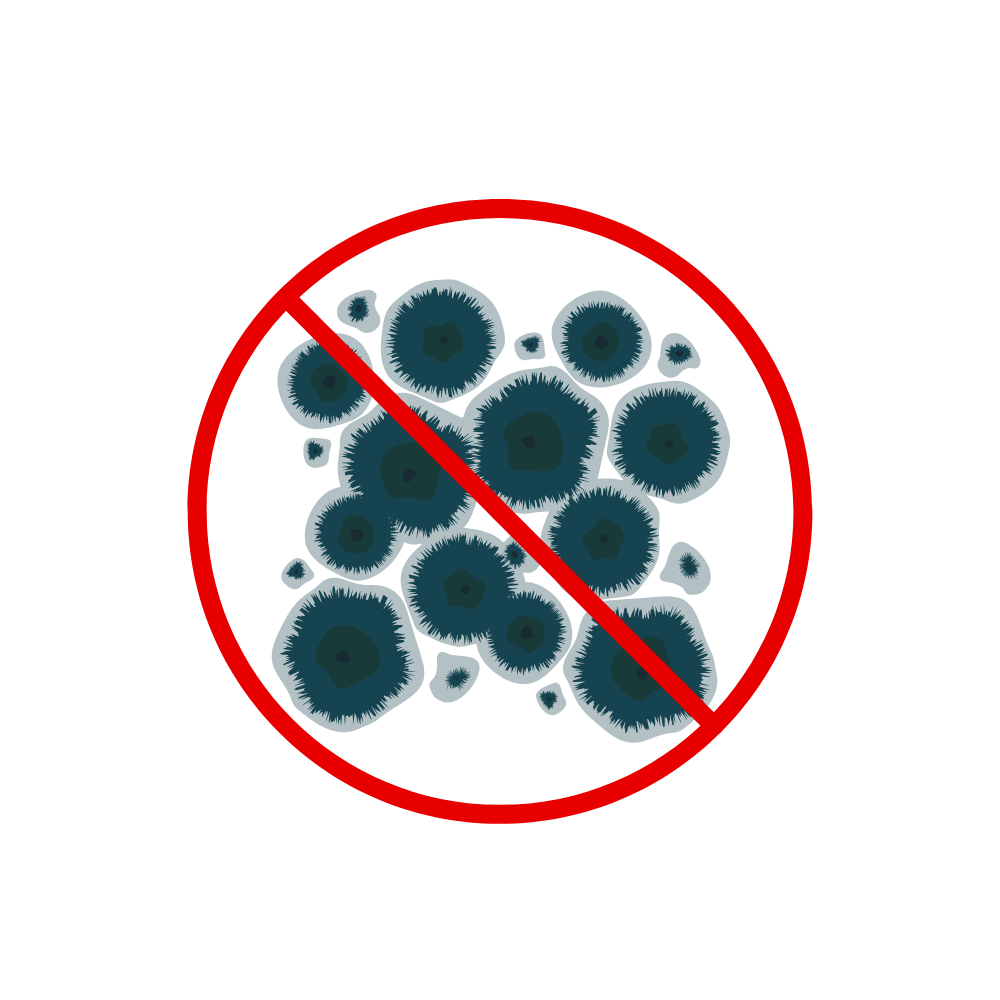 Вивести грибок та плісняву
