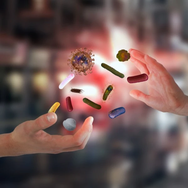 Уничтожение бактерий и вирусов 1