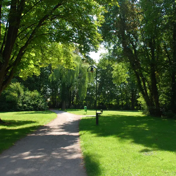 Уничтожение клещей 2