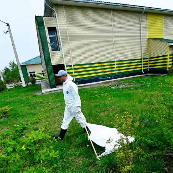 Уничтожение клещей 3