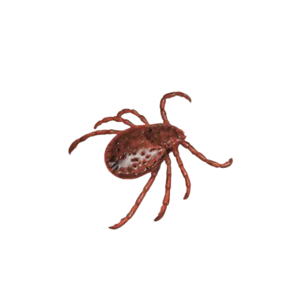 Услуги для населения 1