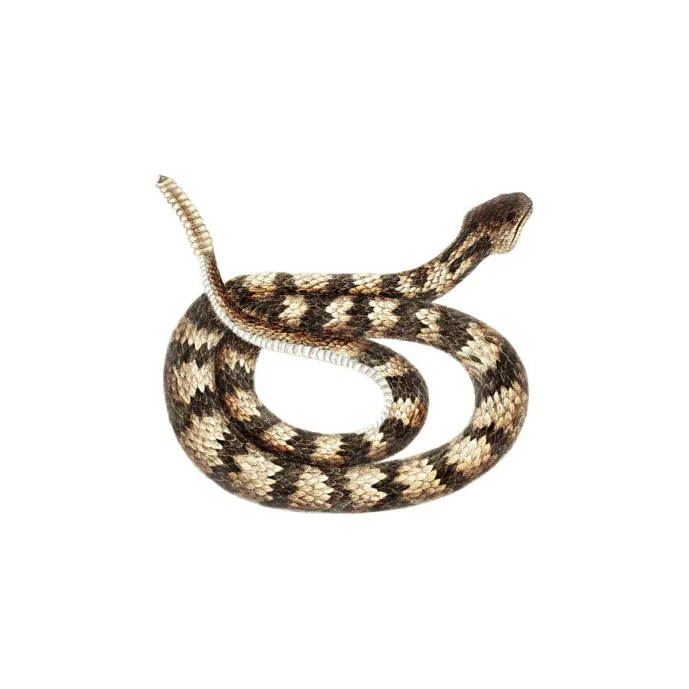 Услуги для населения 4