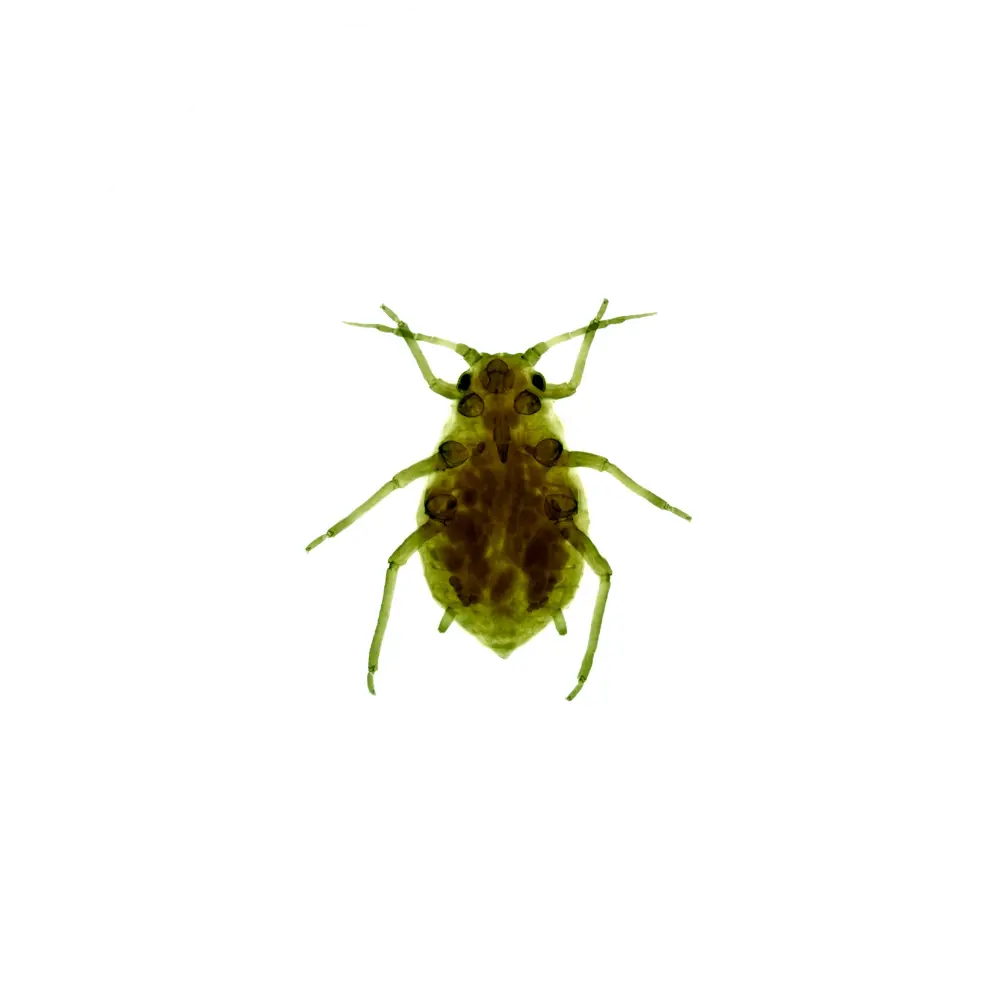 Услуги для населения 2