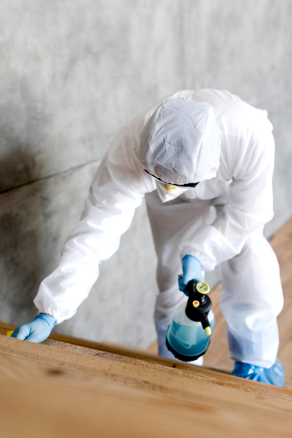 Як позбутися термітів?