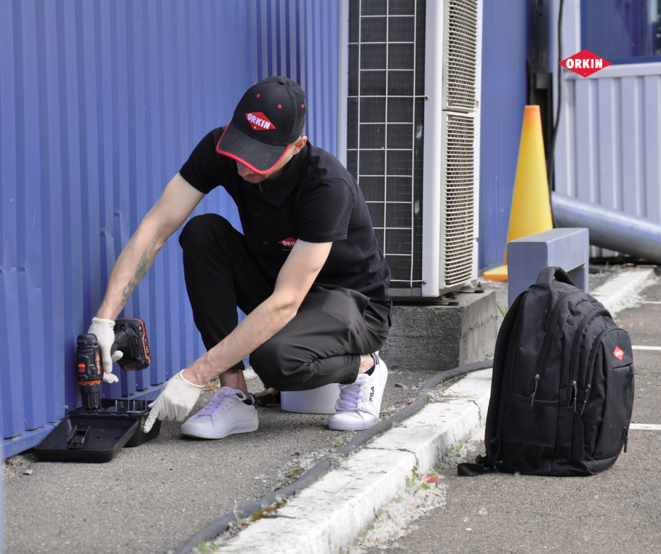 Динамика карты вредителей Киева: изменения и прогнозы 3