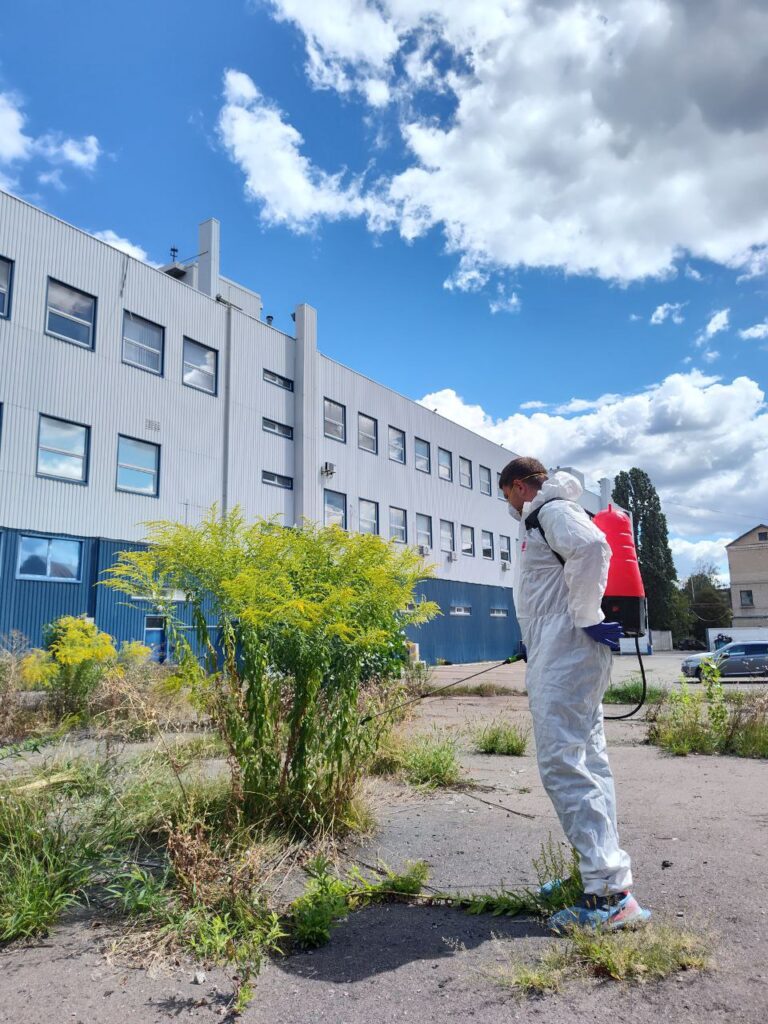 Обробка від амброзії 1